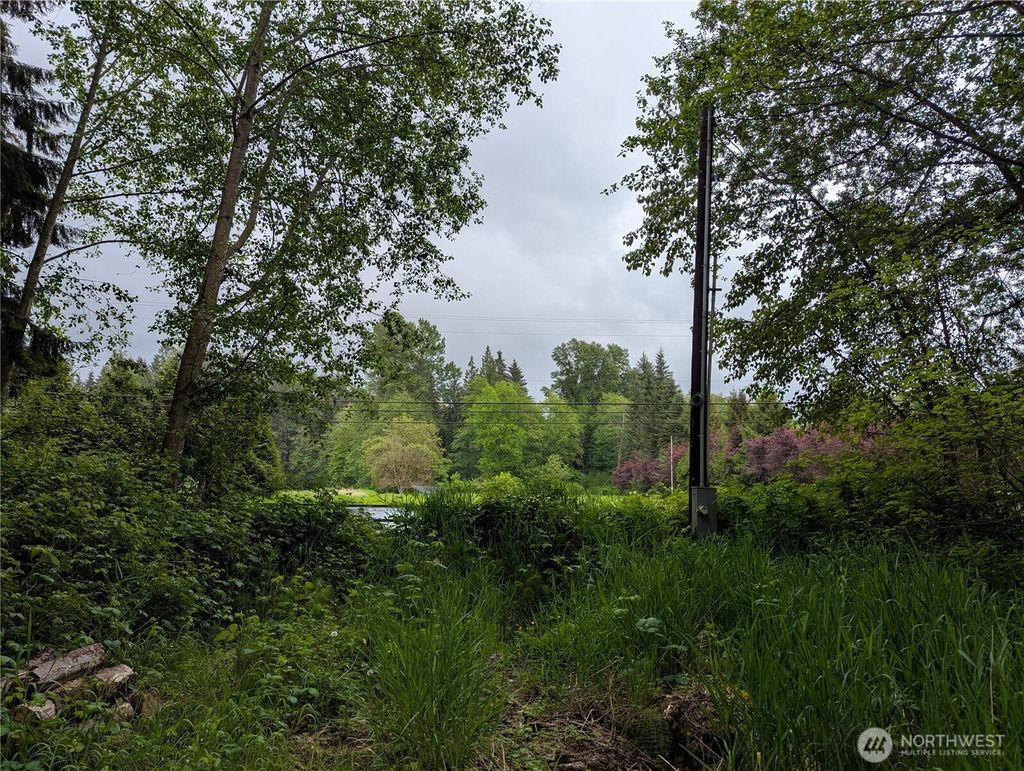 Photo of 21916 123rd Avenue NE, Arlington, WA 98223 (MLS # 2375616)