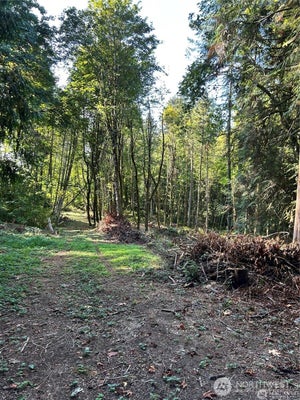 NE DAWN RD, BREMERTON, WA 98311 - Image 5e2714c8db1c62a57b8cd5ecadcbbeab/4085266359