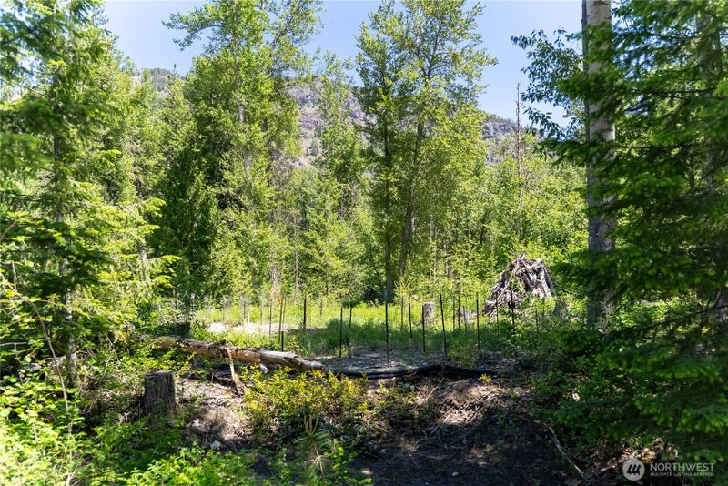 97 Cedarosa Way