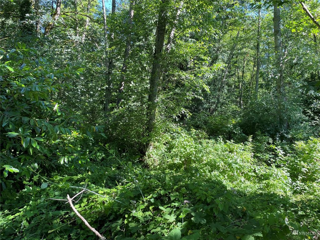 Photo of 5023 144th Street SW, Edmonds, WA 98026 (MLS # 1988094)