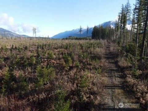 Photo of 9523 Heady Road, Sumas, WA 98295 (MLS # 2532345)