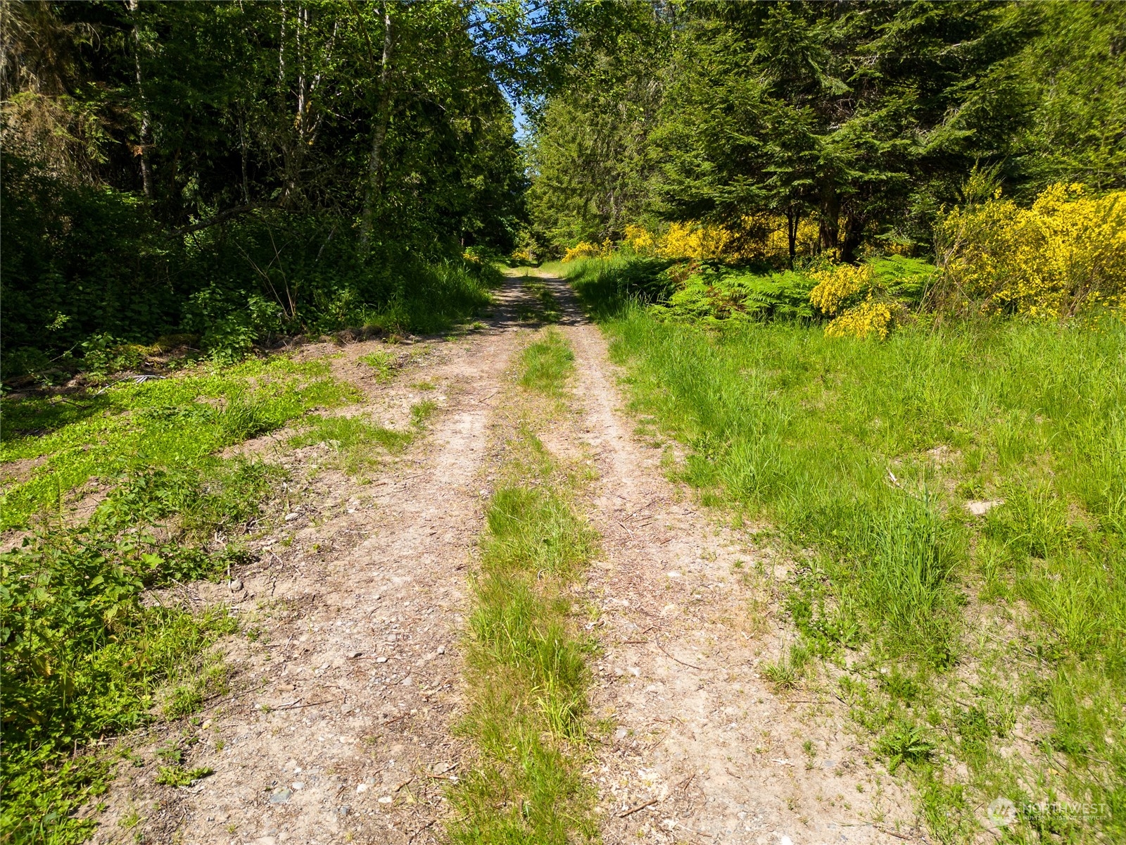 9999 N Bagley Creek Road
