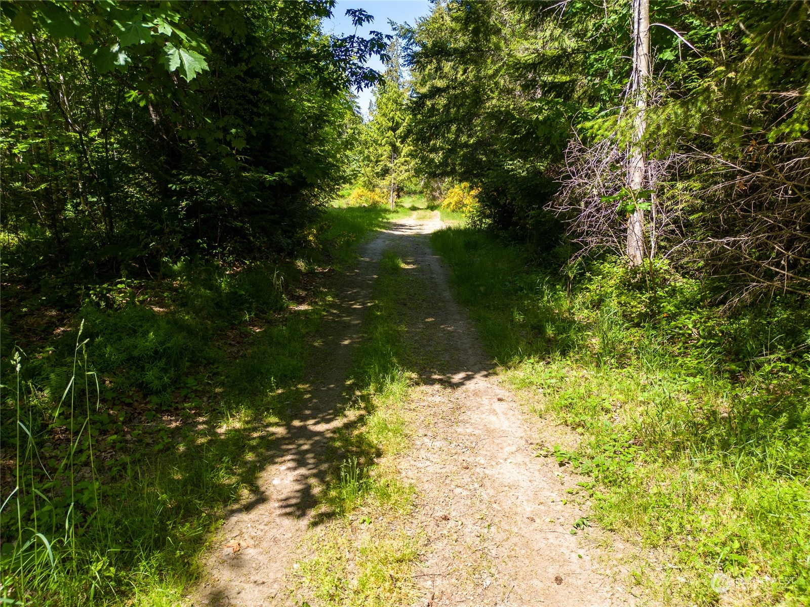 9999 N Bagley Creek Road
