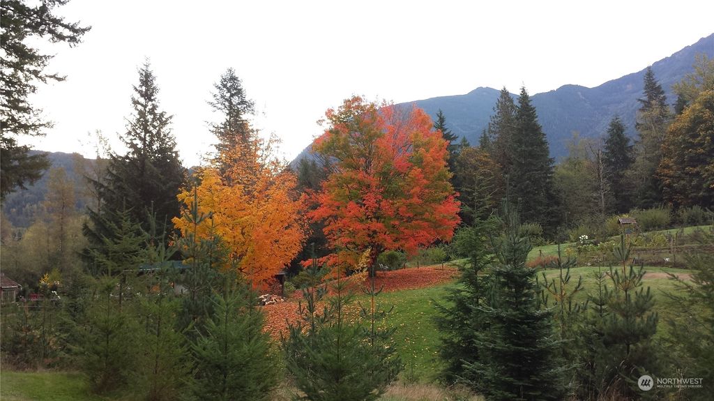 Photo of 46730 SE 156th Place, North Bend, WA 98045 (MLS # 2179973)