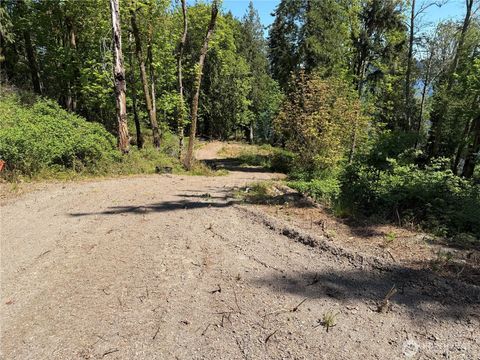 Photo of 7099 Wilson Creek Road SE, Port Orchard, WA 98367 (MLS # 2532034)