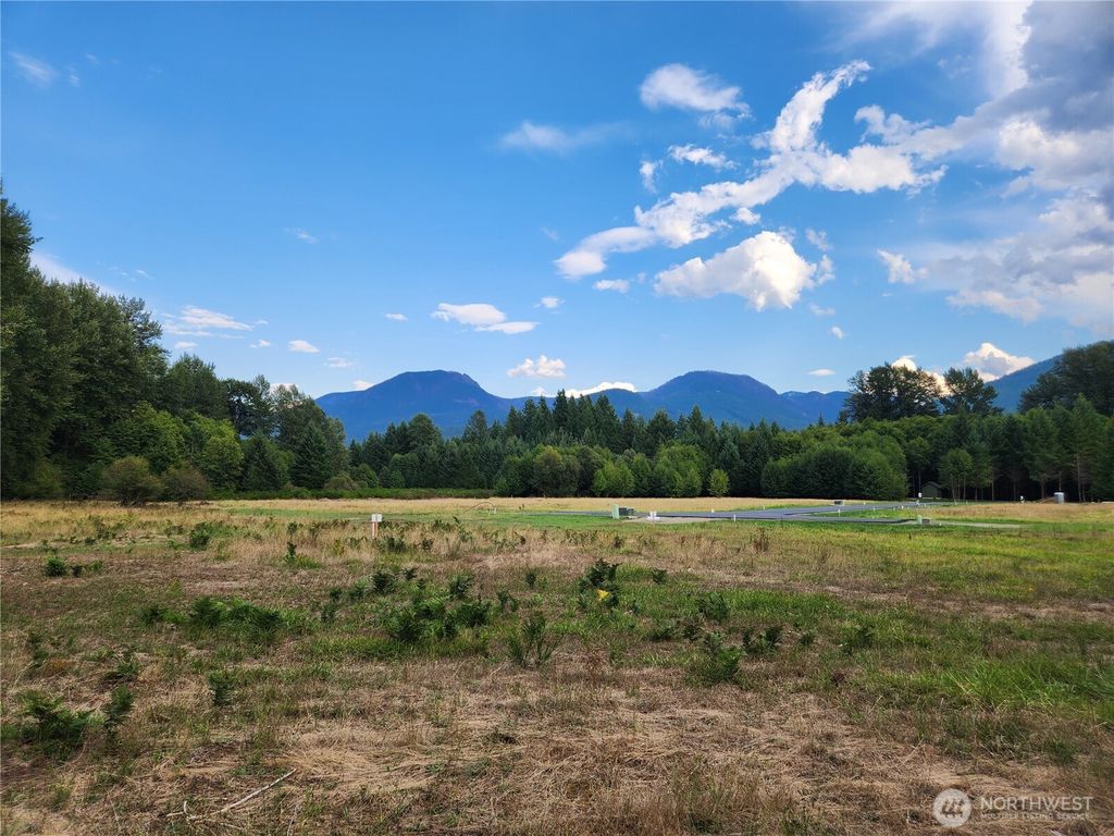 Photo of 131 Campfire Lane, Packwood, WA 98361 (MLS # 2531521)