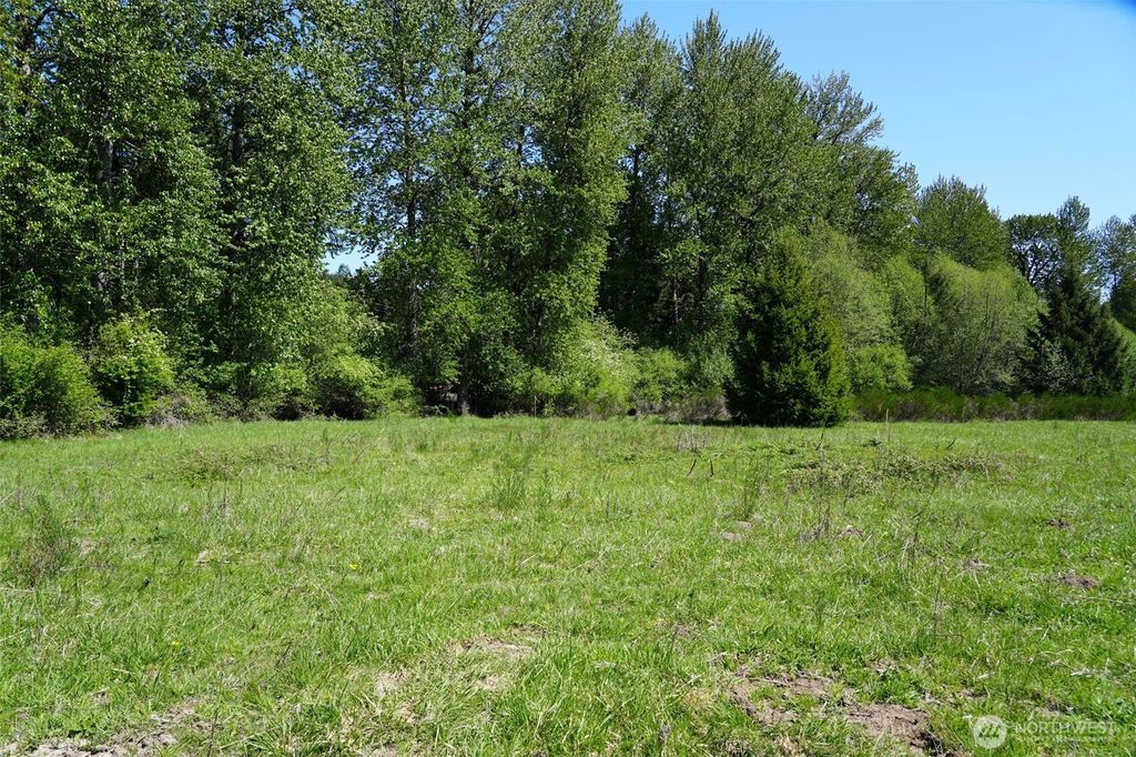 Photo of 131 Campfire Lane, Packwood, WA 98361 (MLS # 2531521)