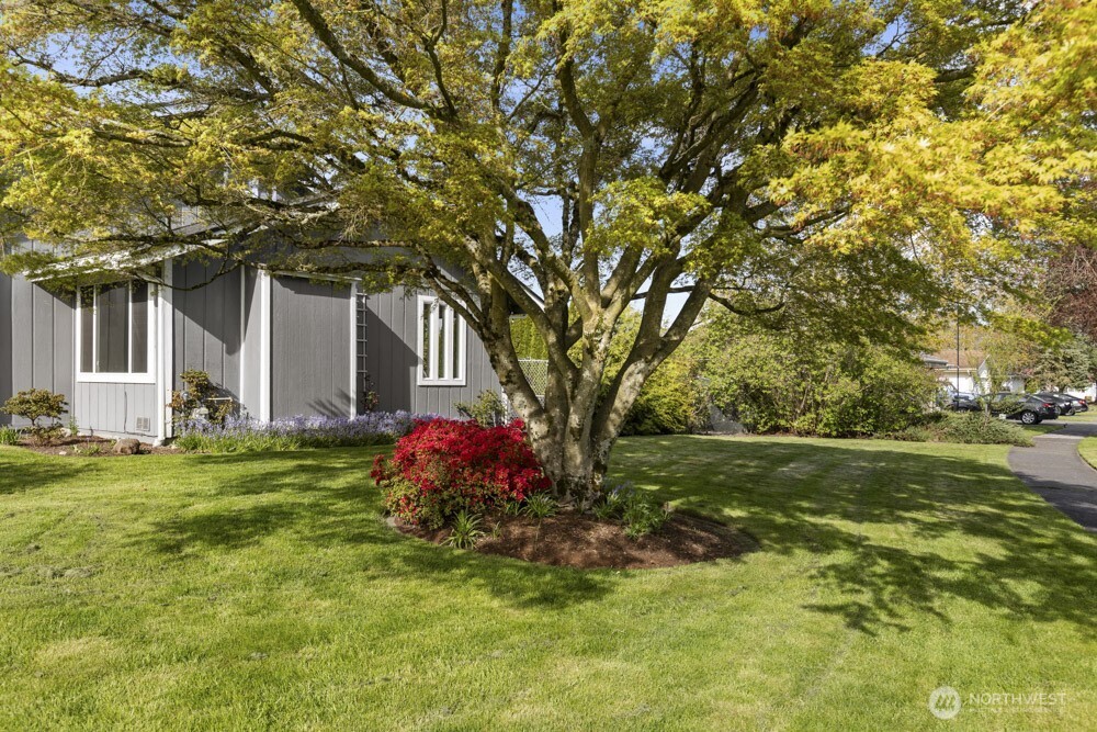 355 Charwila Lane