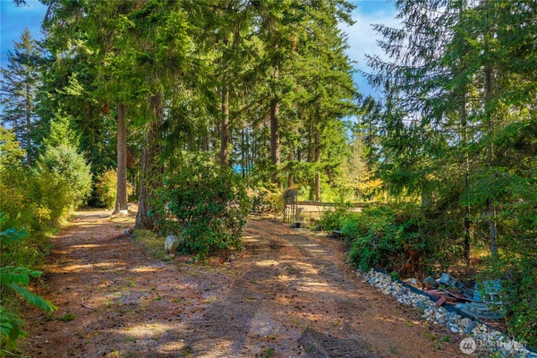 27601 WEBSTER RD E, GRAHAM, WA 98338 - Image 5e9a9ccab4d383aa88cf621c1dffdee2/2147421