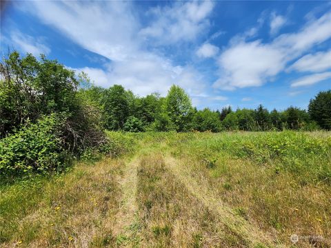 0 Blueberry Road Elma WA 98541