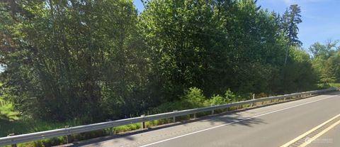 Photo of 32504 Mountain Highway E, Eatonville, WA 98328 (MLS # 2479489)