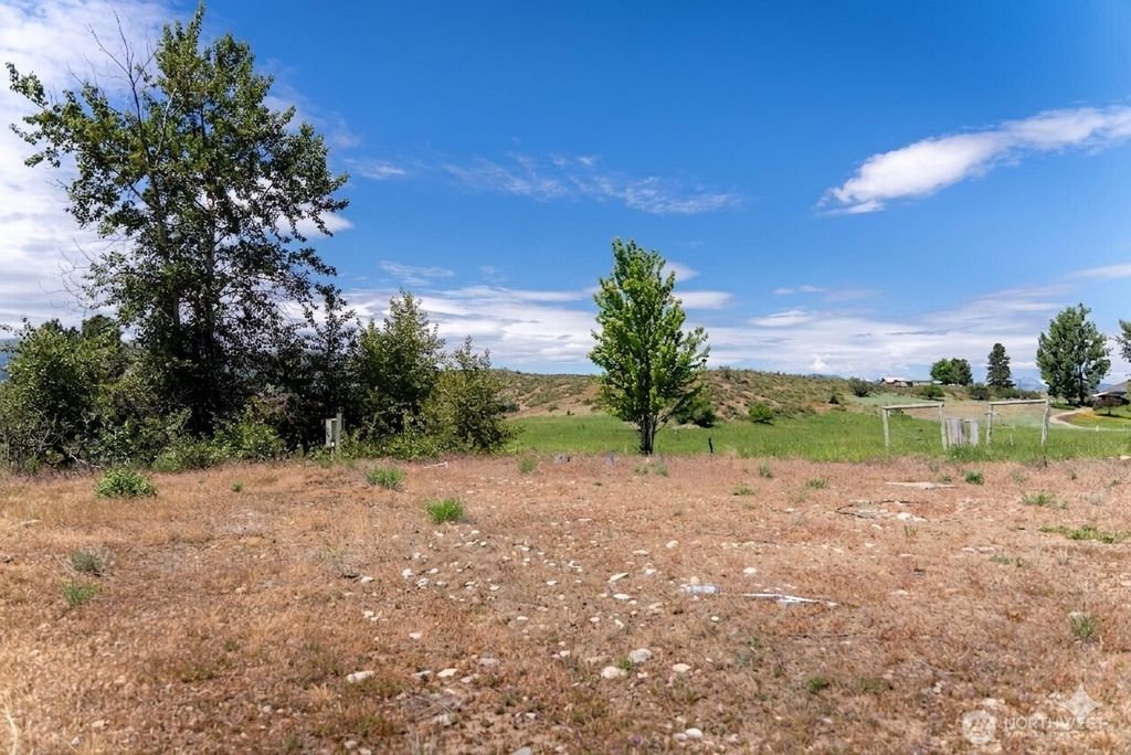 Photo of 567 Twisp Winthrop Eastside Road, Winthrop, WA 98862 (MLS # 2532053)
