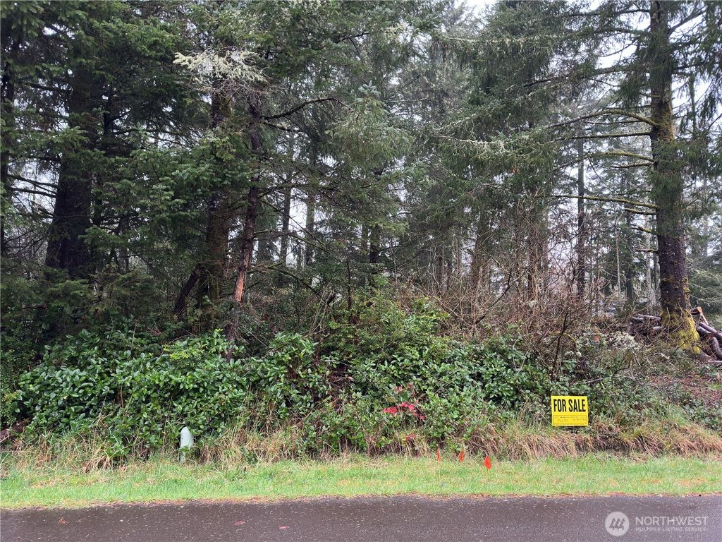 Photo of 609 Weatherwax Loop, Ocean Shores, WA 98569 (MLS # 2457603)