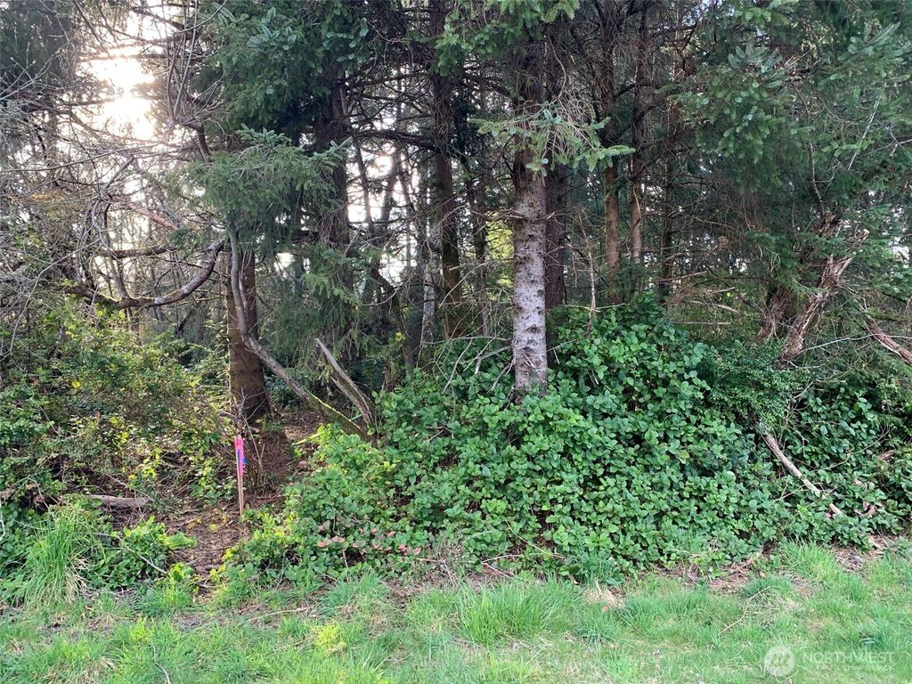 Photo of 609 Weatherwax Loop, Ocean Shores, WA 98569 (MLS # 2457603)