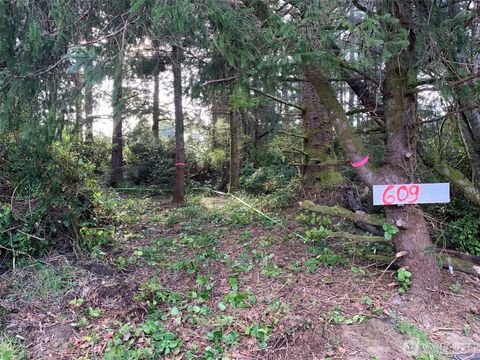 Photo of 609 Weatherwax Loop, Ocean Shores, WA 98569 (MLS # 2457603)