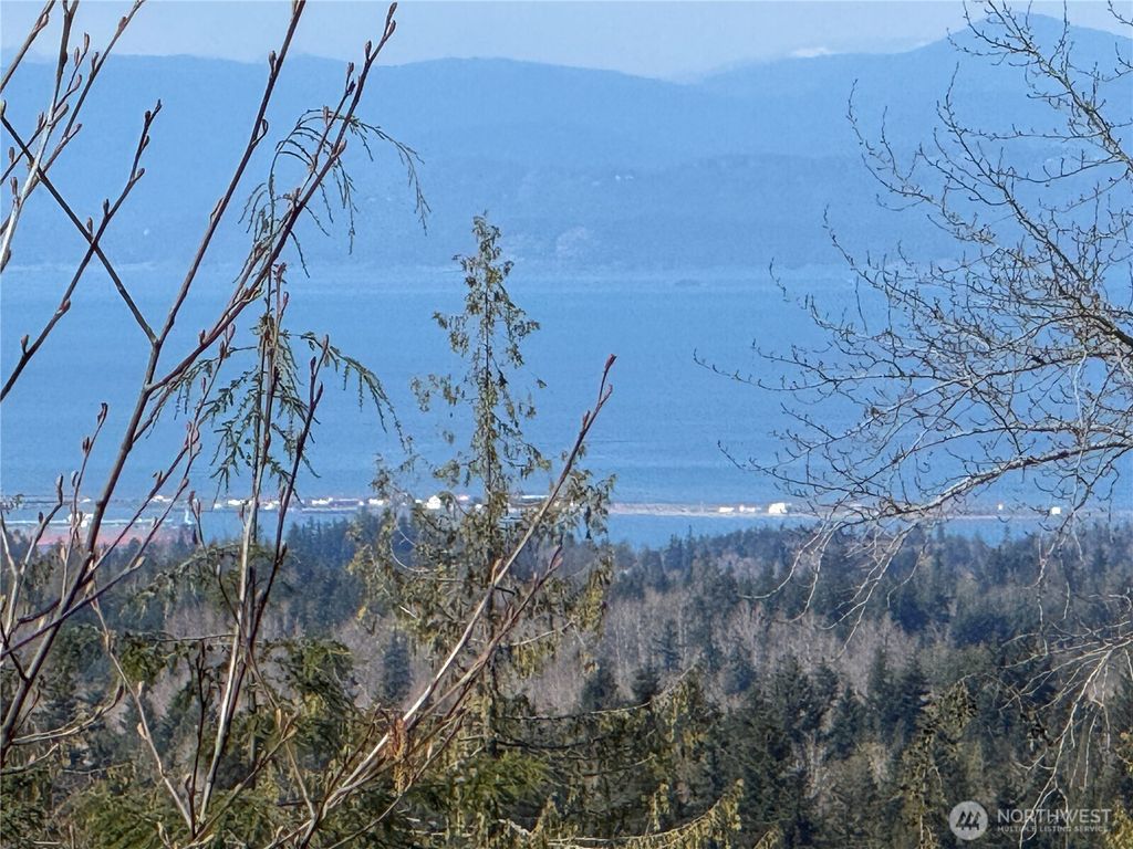 Photo of 445 Watershed Road, Port Angeles, WA 98362 (MLS # 2505494)
