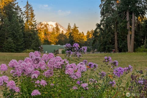 Photo of 26117 34th Avenue E, Spanaway, WA 98387 (MLS # 2541287)