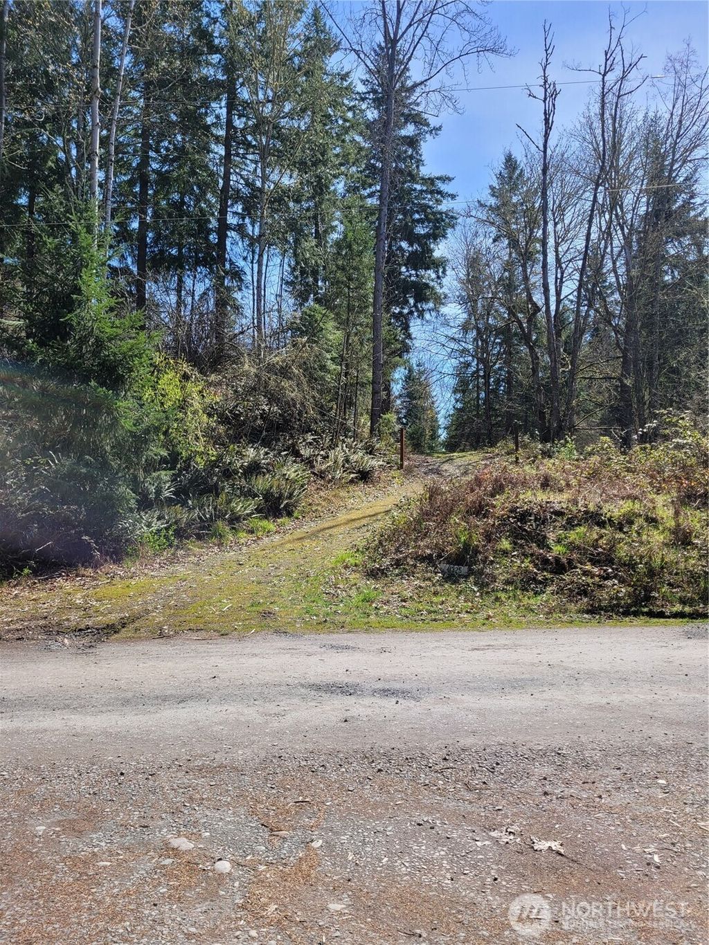 Photo of 41325 109 Avenue Ct E, Eatonville, WA 98328 (MLS # 2502246)