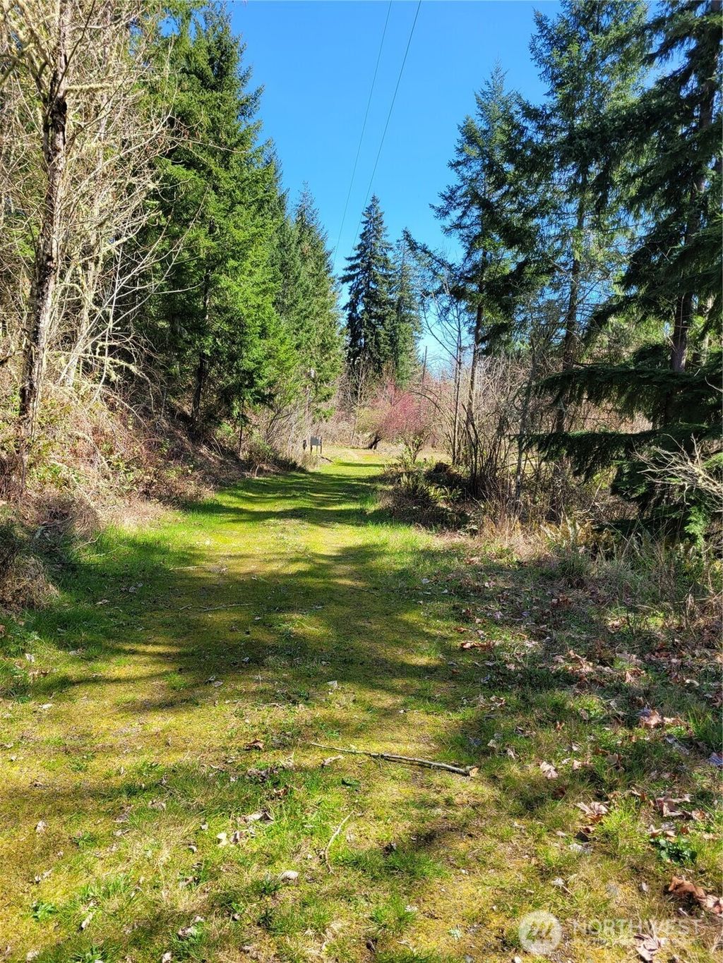 Photo of 41325 109 Avenue Ct E, Eatonville, WA 98328 (MLS # 2502246)