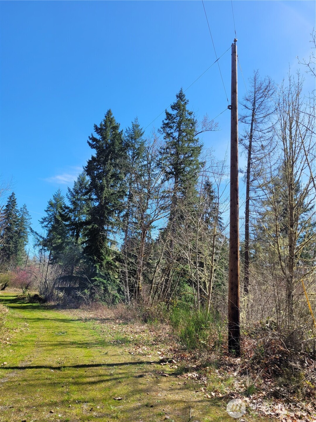 41325 109 Avenue Ct E