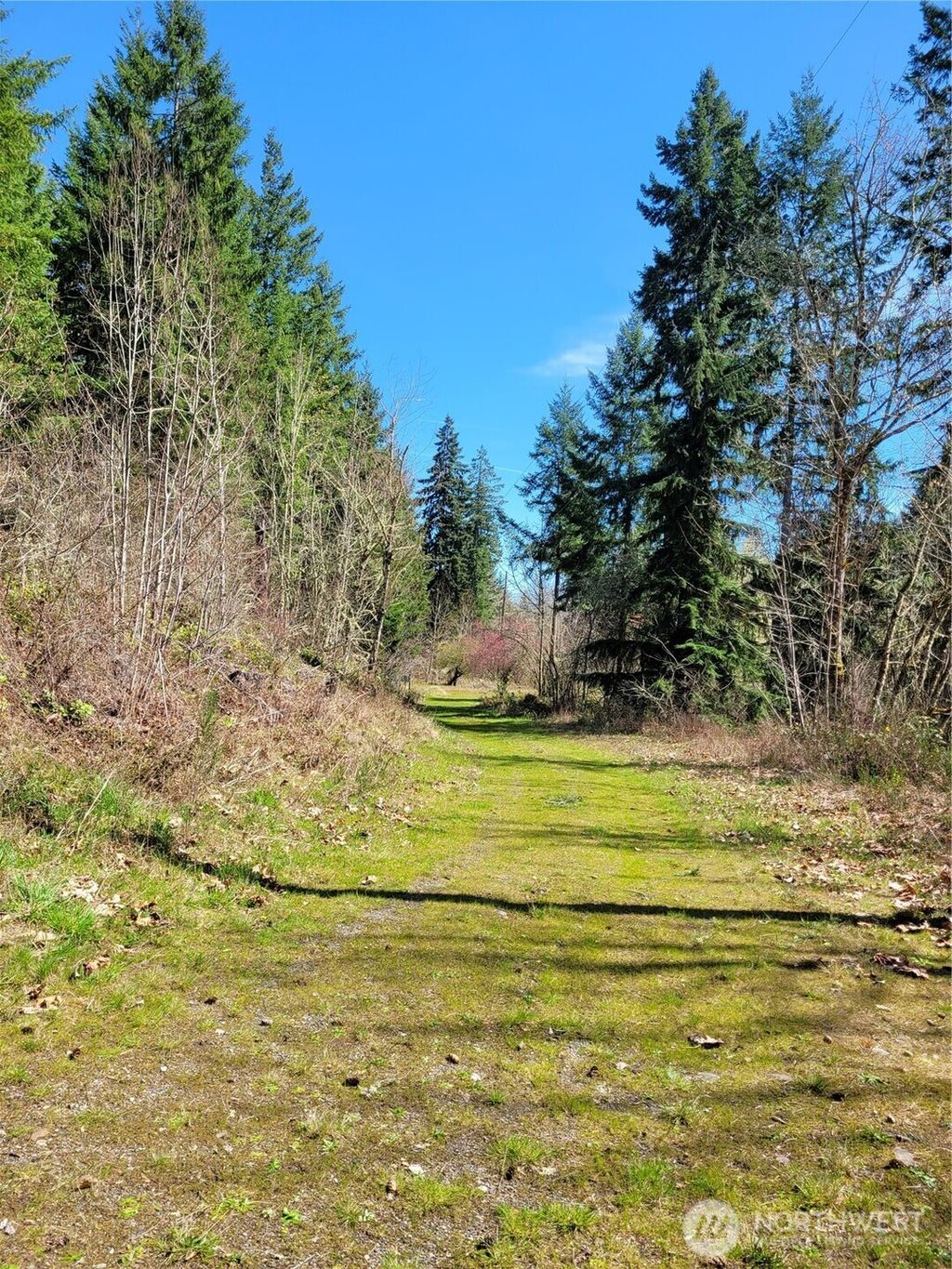 Photo of 41325 109 Avenue Ct E, Eatonville, WA 98328 (MLS # 2502246)