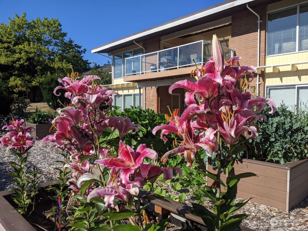 Photo of 12292 Shorewood Drive SW, Burien, WA 98146 (MLS # 2318175)