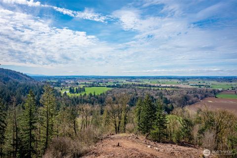 Photo of 48 XX Reese Hill Road, Sumas, WA 98295 (MLS # 2404473)