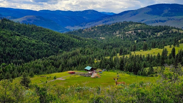 57 TWO SISTERS WAY, CURLEW, WA 99118 - Image 5fa2941eb3d9d1c81b726e25207c0579/4219909981