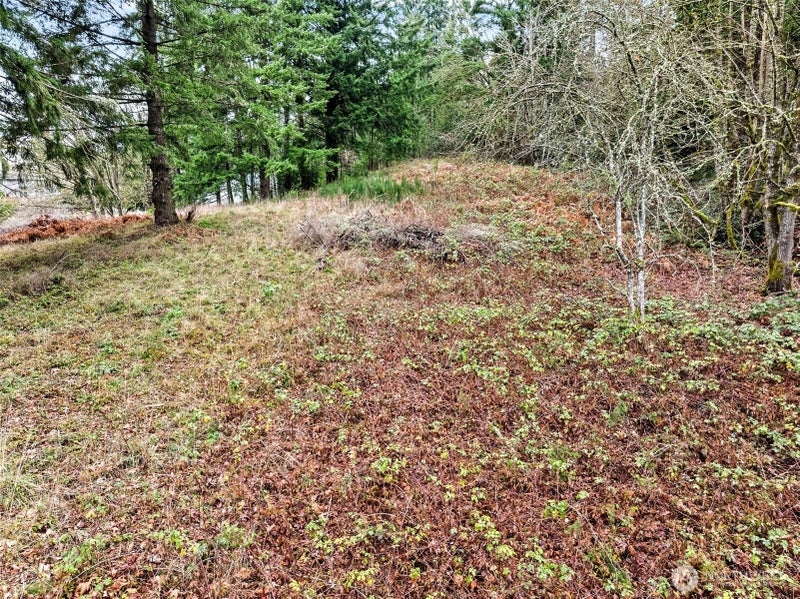 7 7th Avenue SW