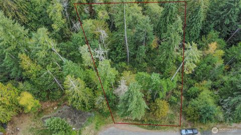 Photo of 220 E Peebles Court, Shelton, WA 98584 (MLS # 2443853)