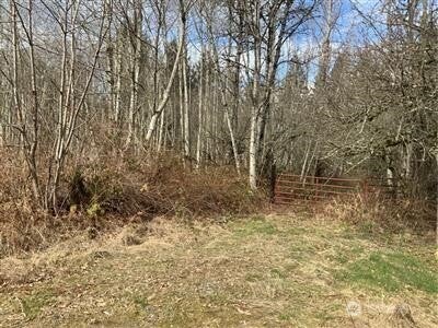 Photo of 252 XX SE GREEN VALLEY RD, Black Diamond, WA 98010 (MLS # 2581841)