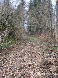 252 SE GREEN VALLEY RD