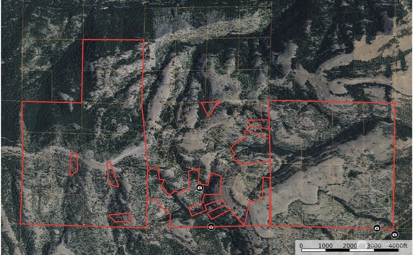 1524 Nasty Creek Road