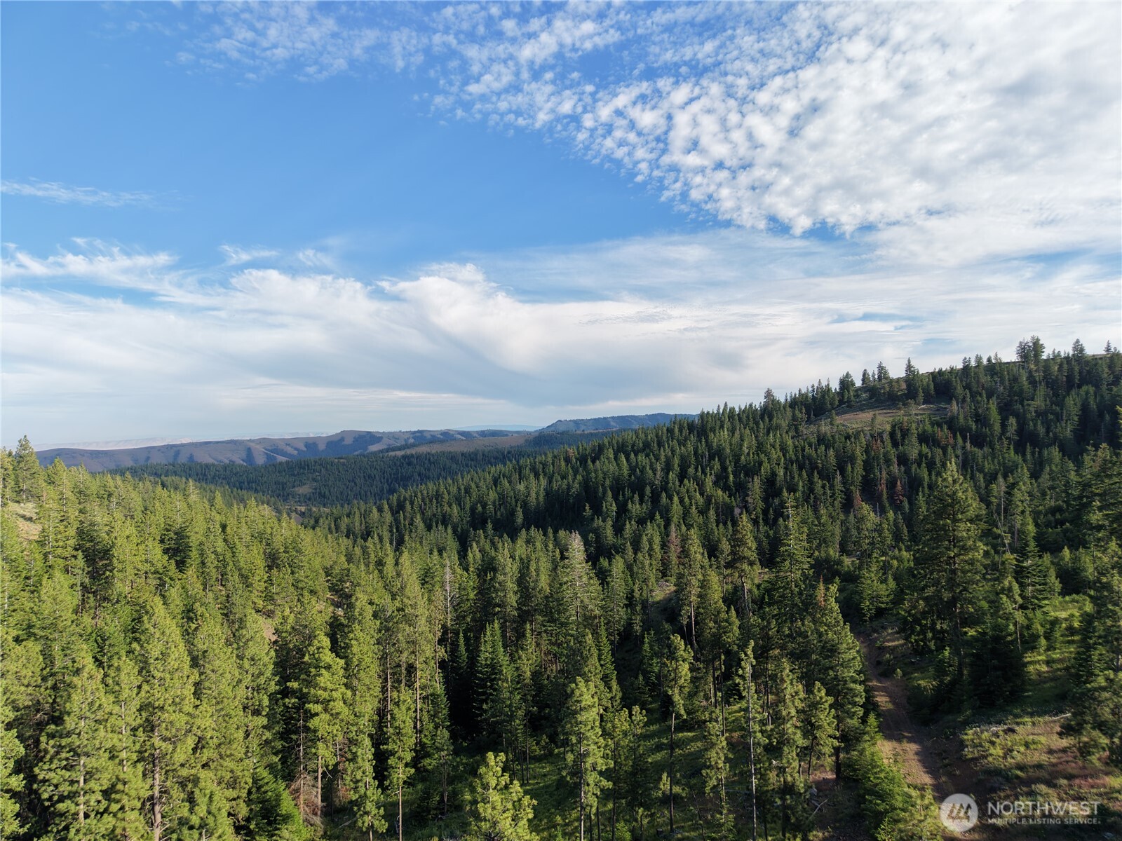 1524 Nasty Creek Road
