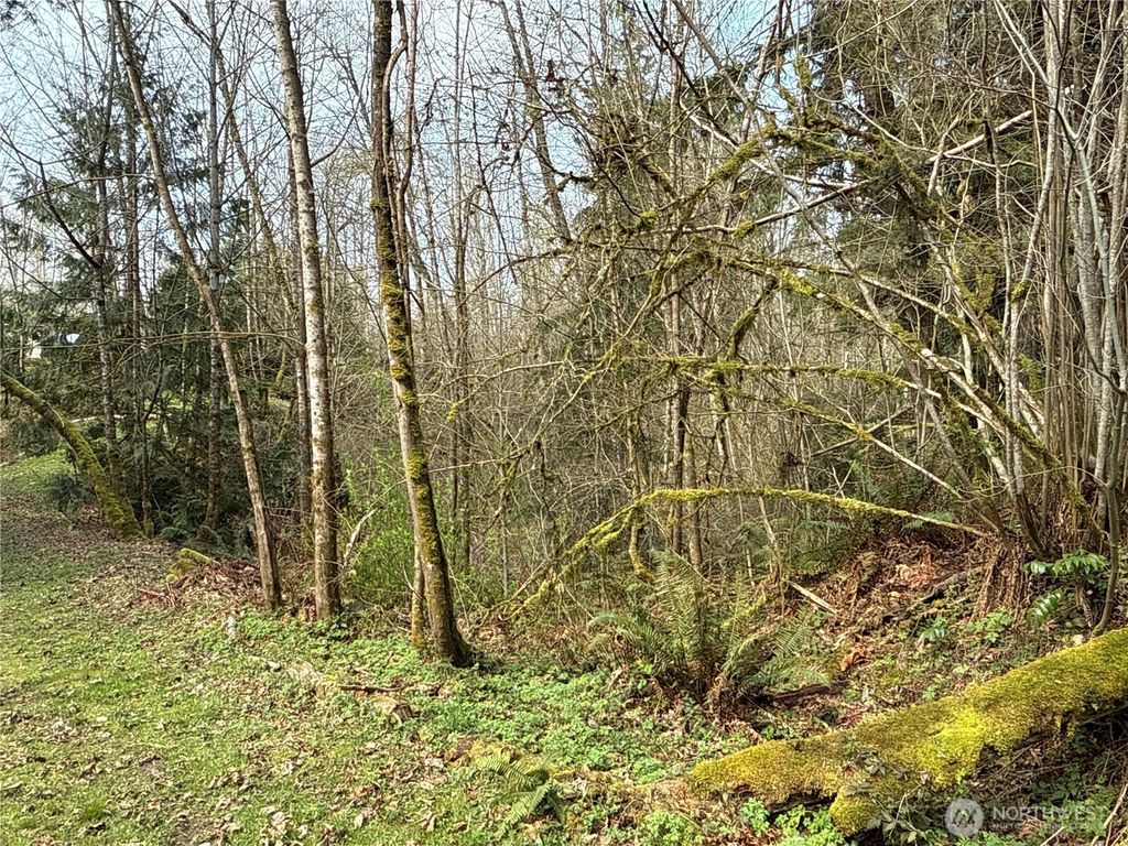 Photo of 22 XXX 212th Avenue SE, Maple Valley, WA 98038 (MLS # 2483240)