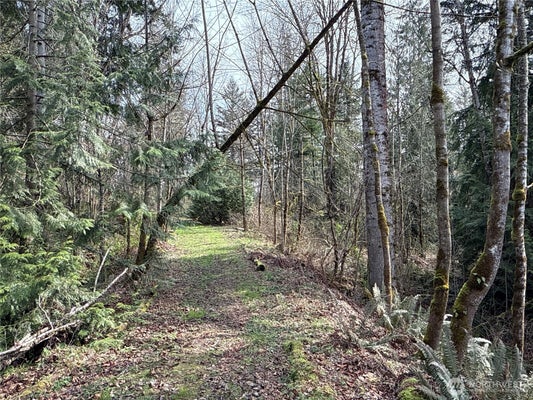 212TH AVE SE, MAPLE VALLEY, WA 98038 - Image 5fd1193daff444e256d9ea7b10e20dc9/309701271