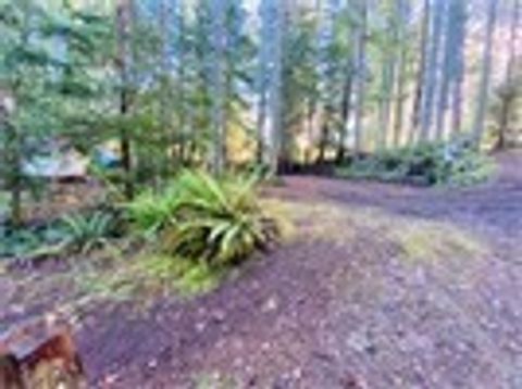 91 N Quilnault Place Hoodsport WA 98548