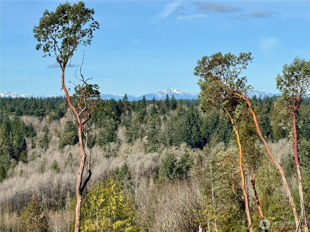 Photo of 4223 183rd Avenue Ct SW, Longbranch, WA 98351 (MLS # 2488886)