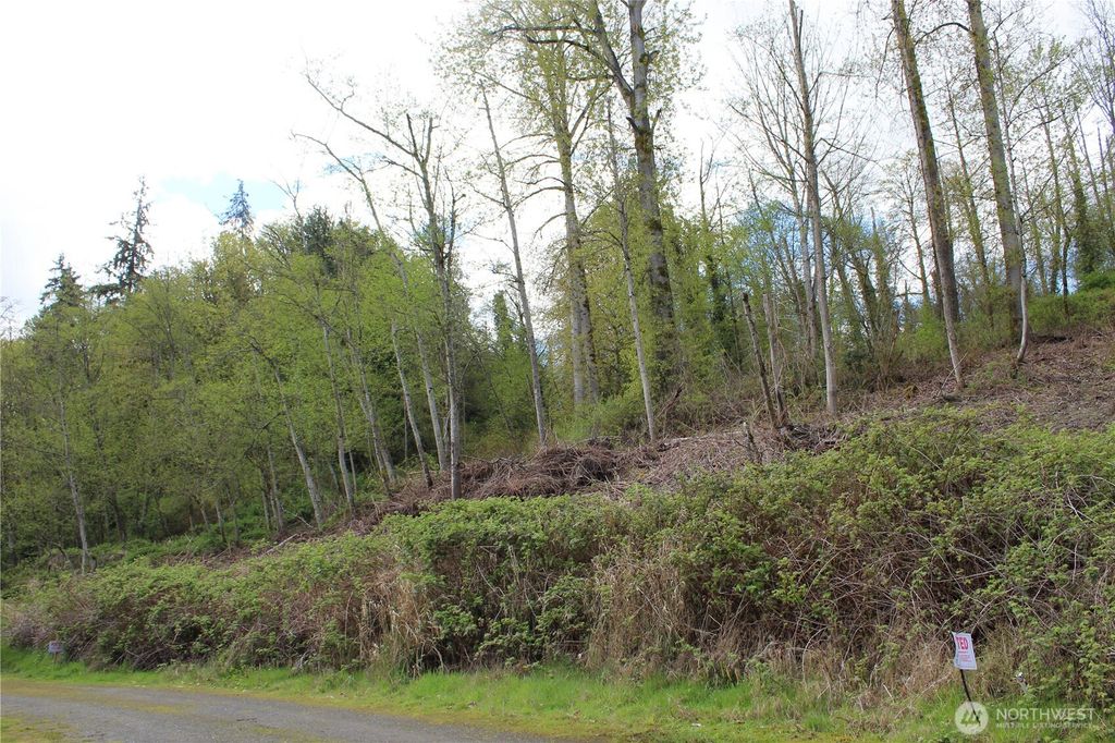 Photo of 22 xx Franklin Street, Everett, WA 98208 (MLS # 2508319)