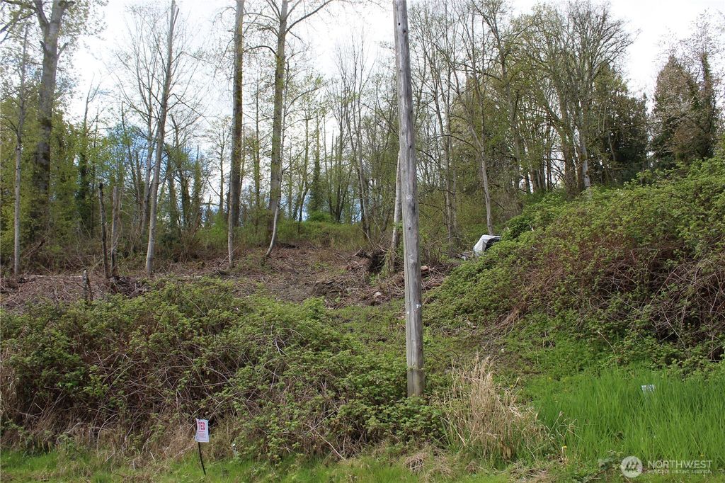 Photo of 22 xx Franklin Street, Everett, WA 98208 (MLS # 2508319)