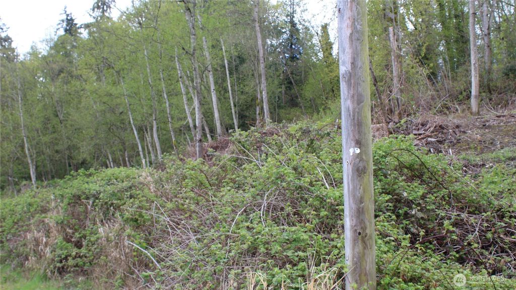 Photo of 22 xx Franklin Street, Everett, WA 98208 (MLS # 2508319)