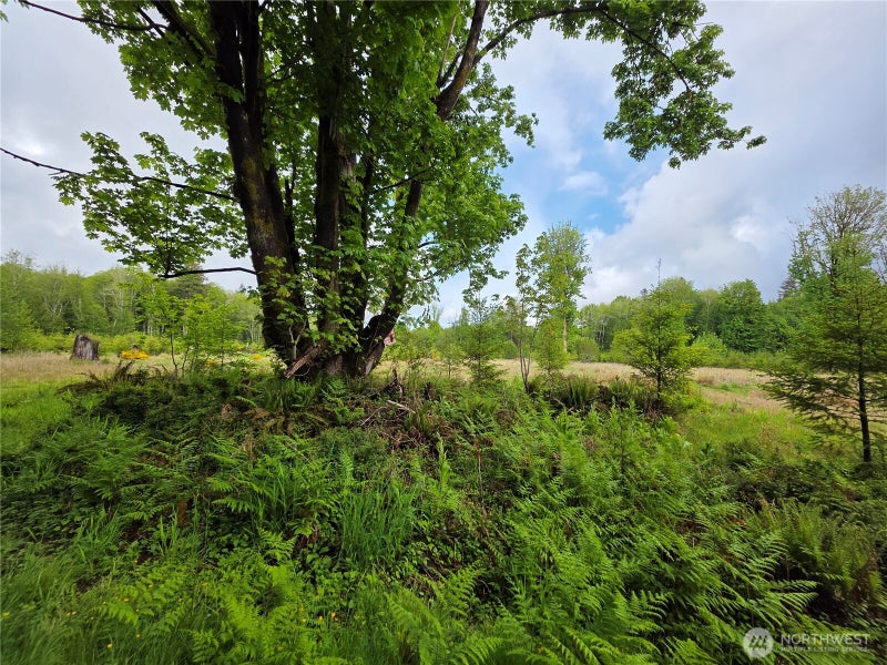 0 W Maple Rock Road