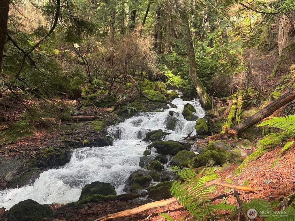 Photo of 0 Palisades Drive, Orcas Island, WA 98243 (MLS # 2469970)