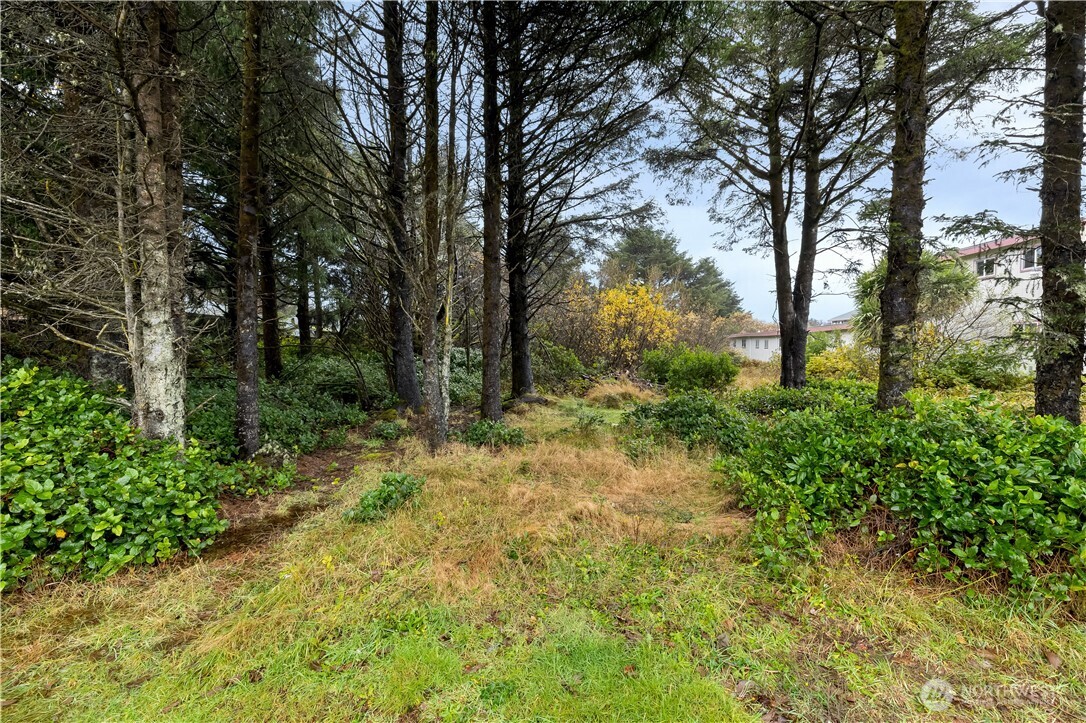 880 Ocean Shores Boulevard