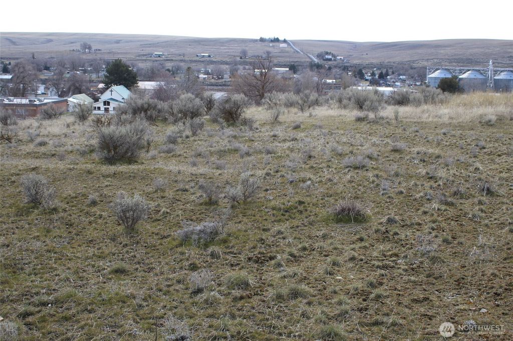 Photo of 0 W 5th Street, Lind, WA 99134 (MLS # 2483039)