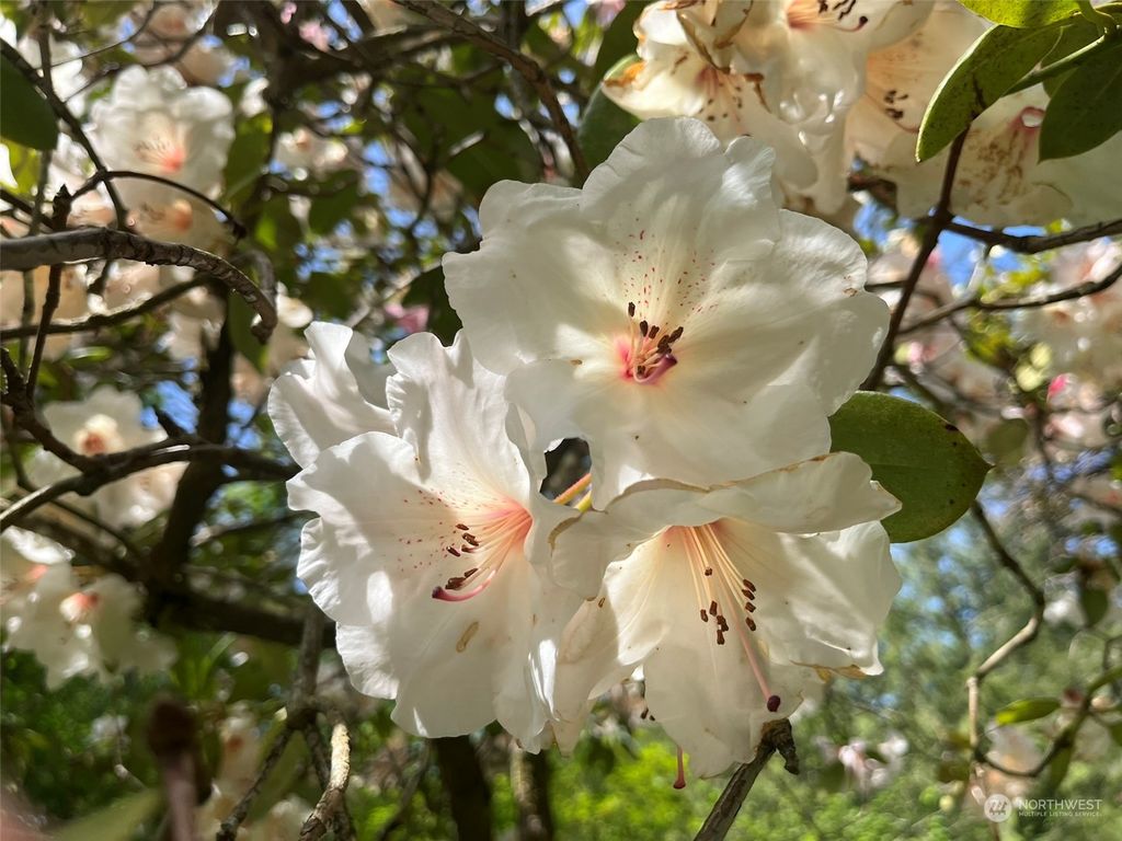 Photo of 7140 N Fork Road SE, Snoqualmie, WA 98065 (MLS # 2247153)