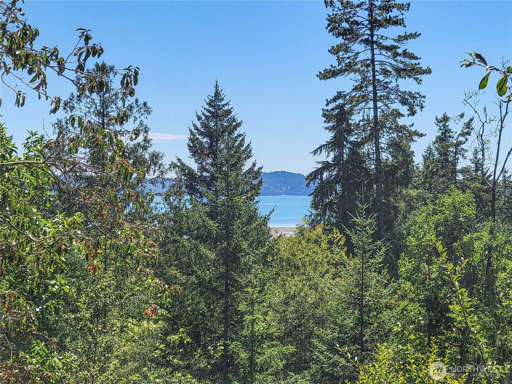 Photo of 201 Mount Jupiter Road, Brinnon, WA 98445 (MLS # 2587864)