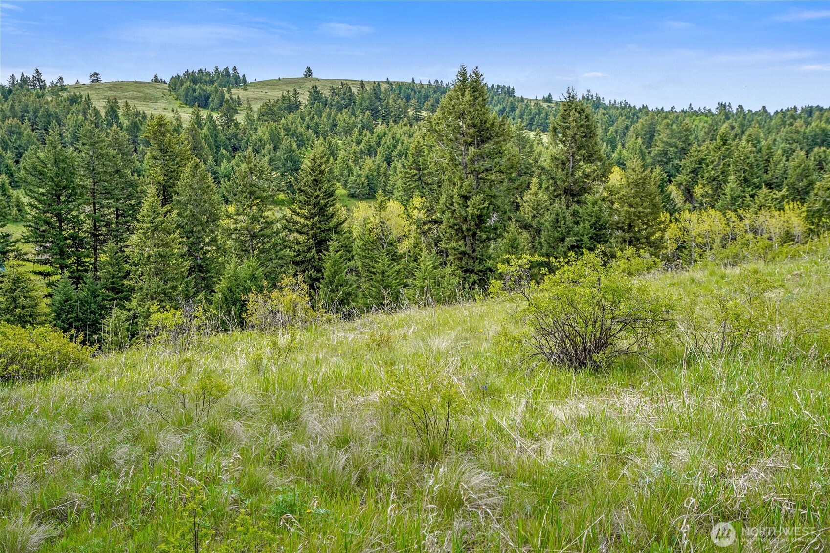 Oroville, Washington 98844, United States, ,Land,Active,118874