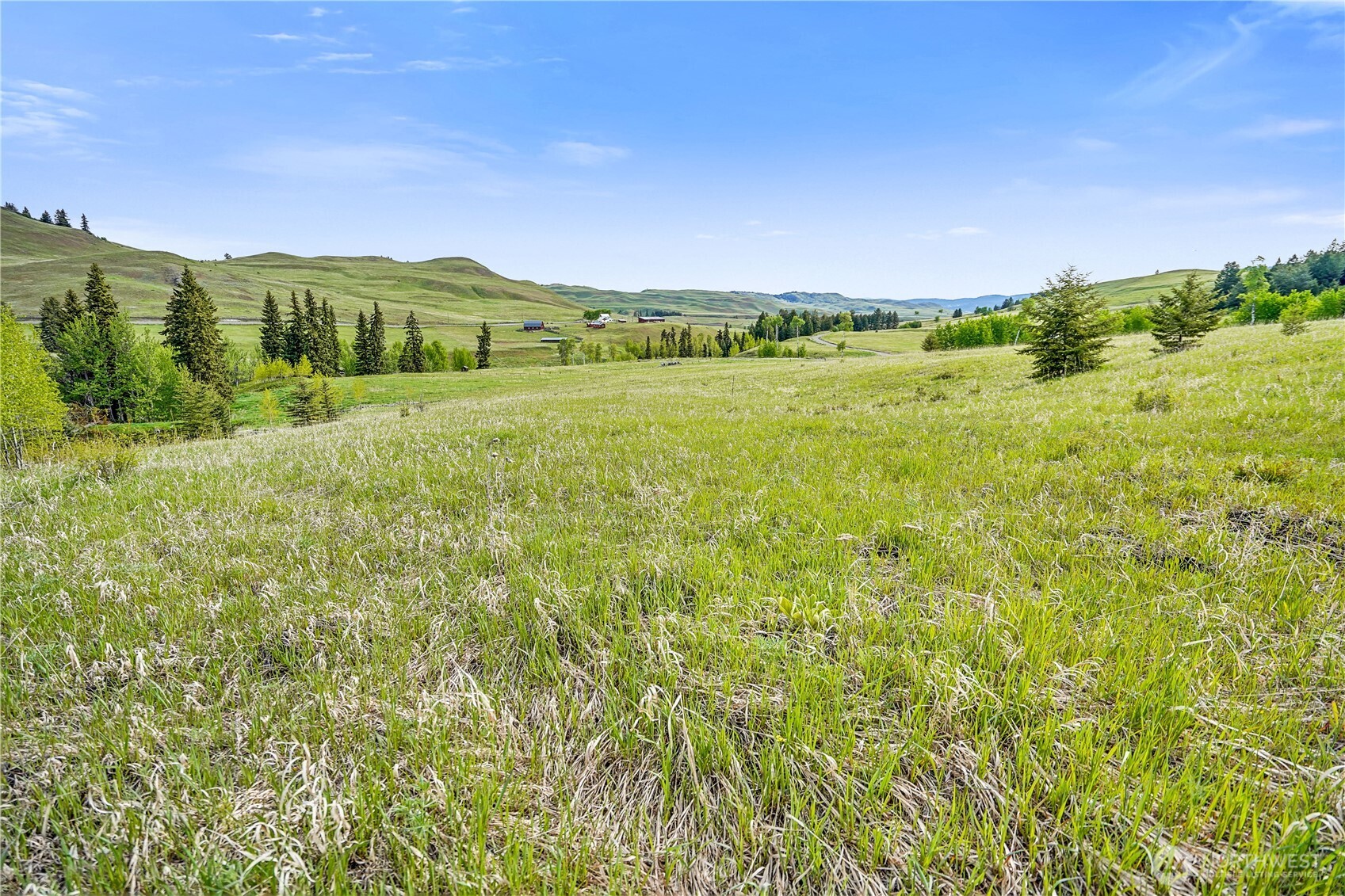 Oroville, Washington 98844, United States, ,Land,Active,118874 Oroville, Washington 98844, United States, ,Land,Active,118874