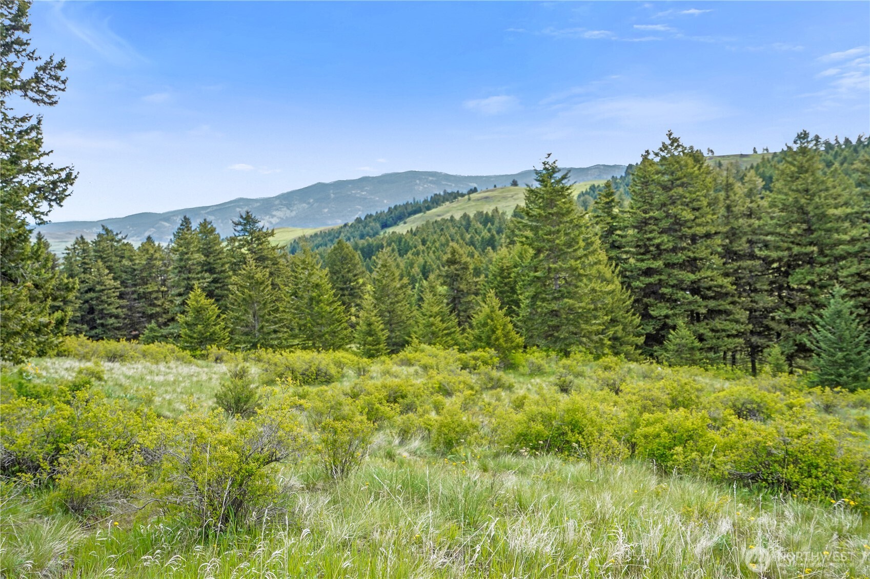 Oroville, Washington 98844, United States, ,Land,Active,118874